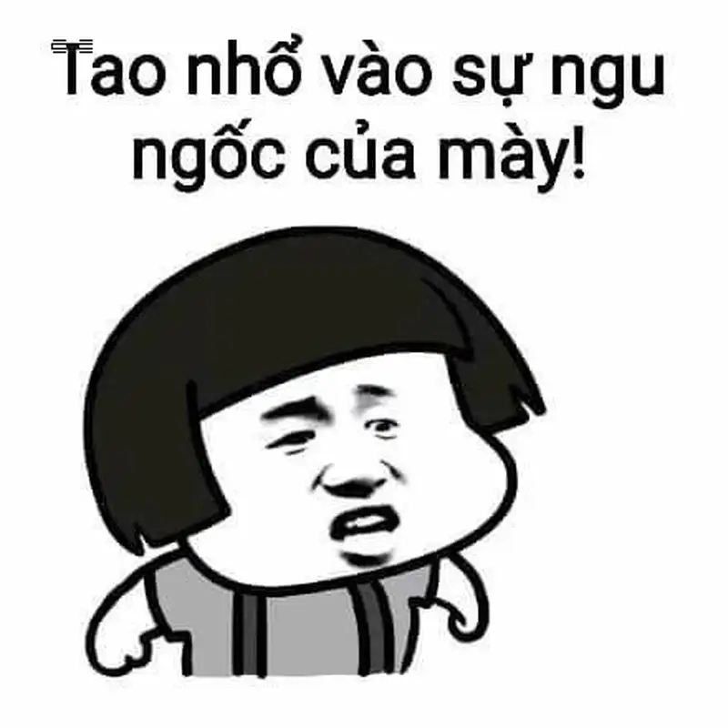 Tuyển chọn ảnh meme ngu dốt vui nhộn kèm chất ngu meme