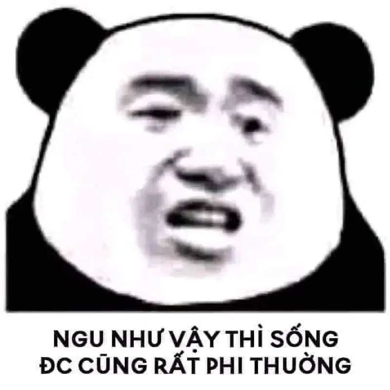Loạt meme ngu ngơ siêu hài khiến bạn mê ngu meme