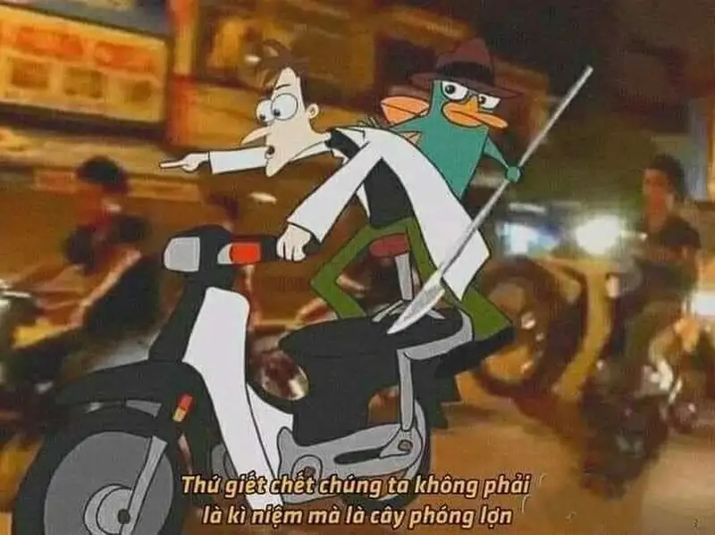 Xem ngay cầm phóng lợn meme vui nhộn không thể bỏ qua