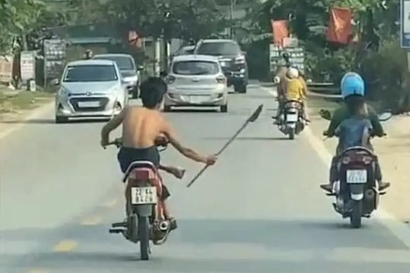 Tìm kiếm phóng lợn hình ảnh độc đáo để chia sẻ cùng bạn bè