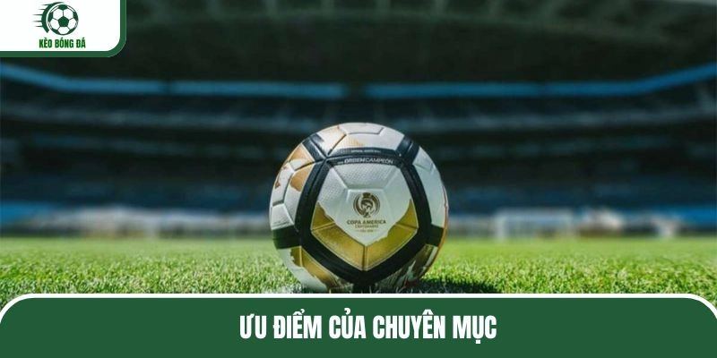 Phân tích lý do chuyên mục thu hút người dùng