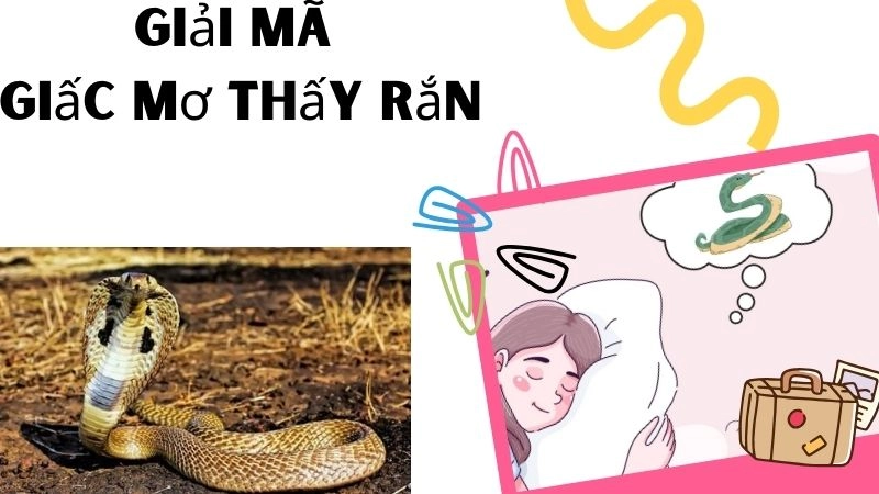 Giải mã giấc mơ thấy rắn