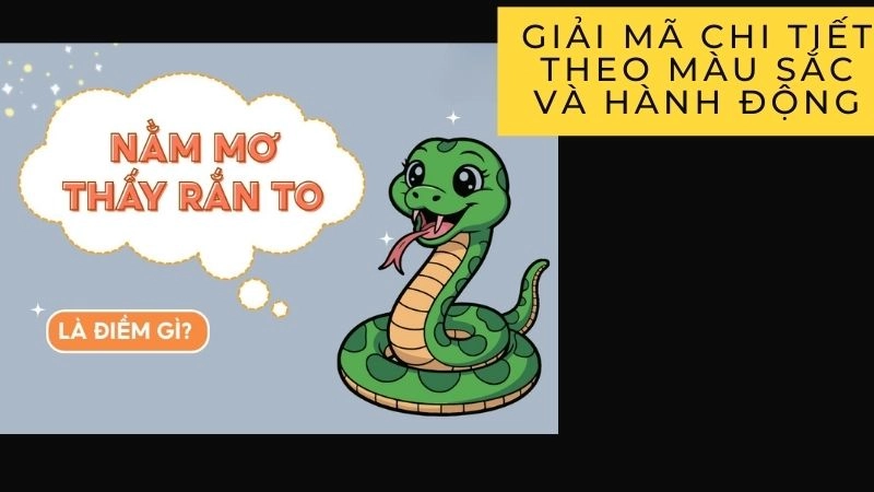 Giải mã chi tiết theo màu sắc và hành động của rắn