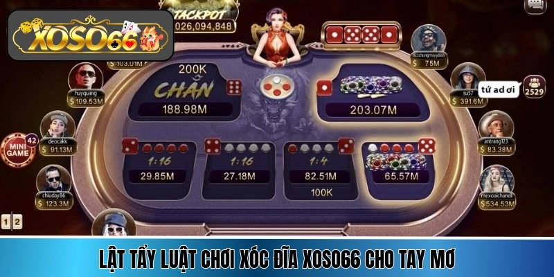 Lật tẩy luật chơi xóc đĩa Xoso66 cho tay mơ