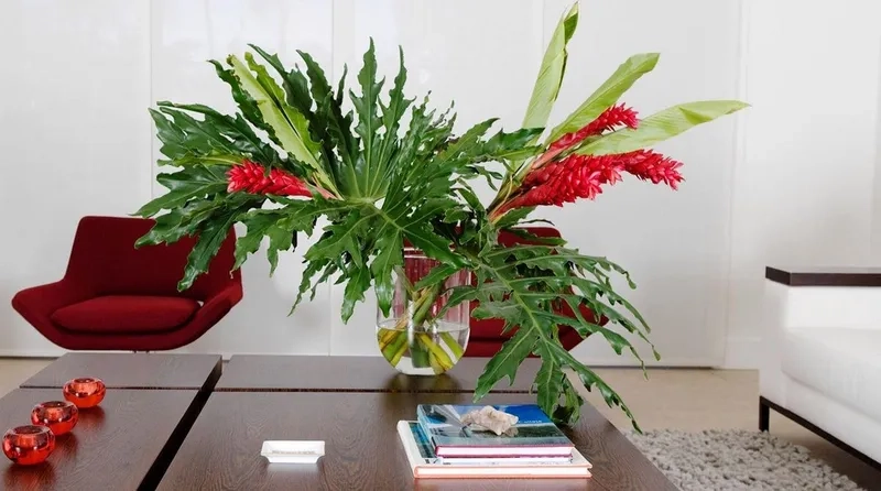 Cây cảnh phong thủy bàn làm việc