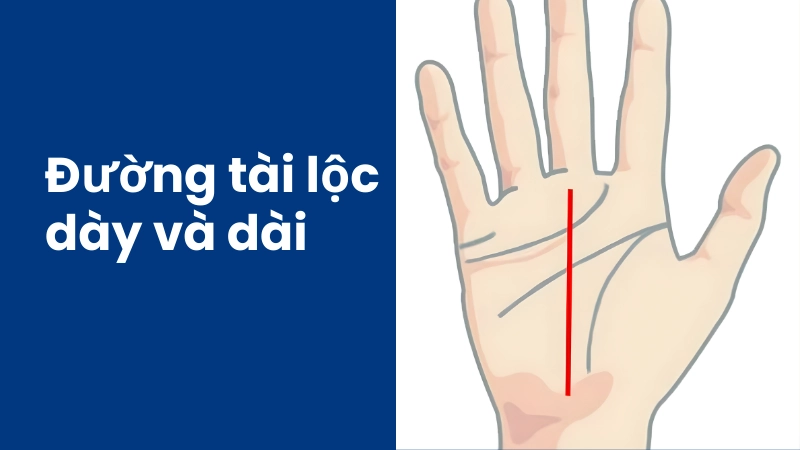 Dấu hiệu đường tài vận dày và dài