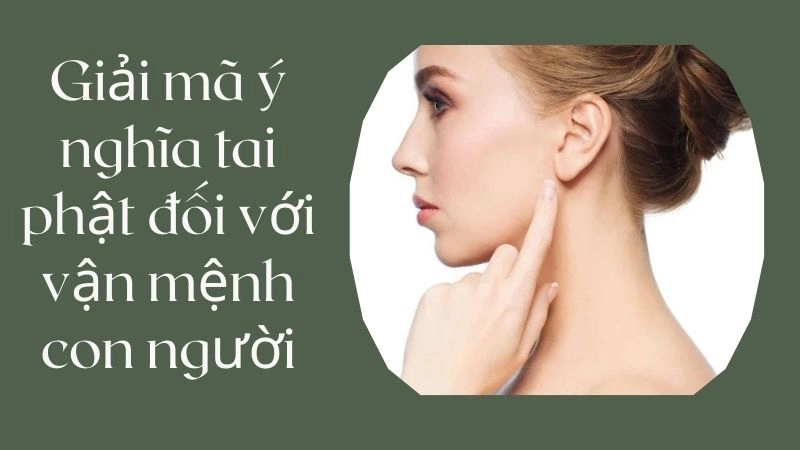 Giải mã ý nghĩa tai phật đối với vận mệnh con người