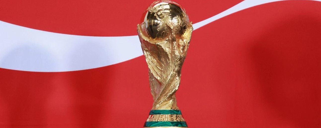 Phân tích Ermedin Demirovic