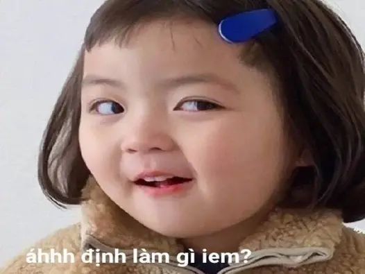 Bộ sưu tập meme vui hài hước đỉnh cao dành riêng cho bạn