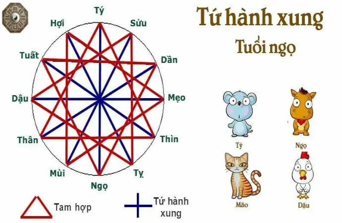 Hiểu biết chi tiết và ứng dụng về tứ hành xung ngọ