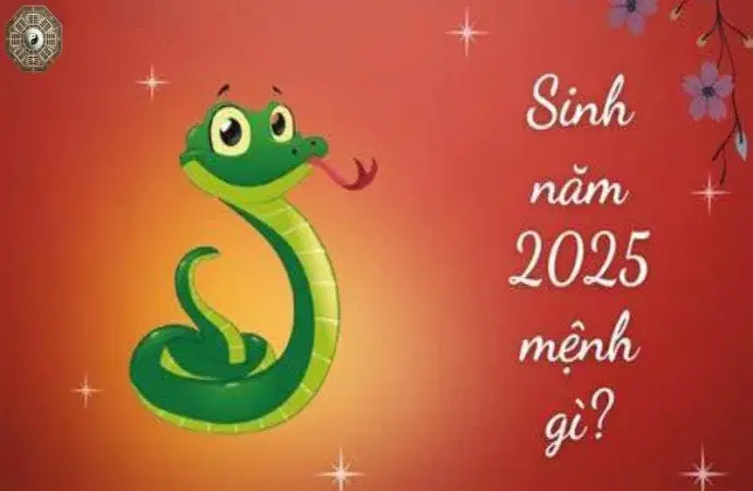 Sinh năm 2025 mệnh gì? Khám phá tử vi Ất Tỵ