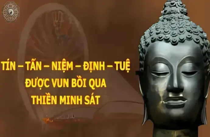 Ngũ căn là gì? Tầm quan trọng trong hành trình tu tập