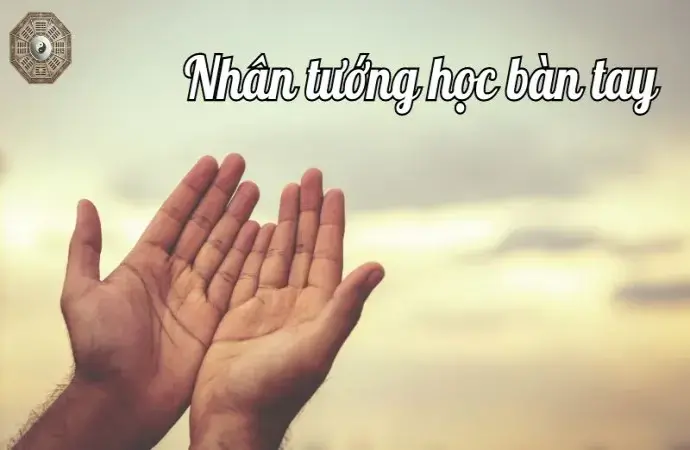 Nhân tướng học bàn tay - Khám phá chi tiết về tính cách và vận mệnh