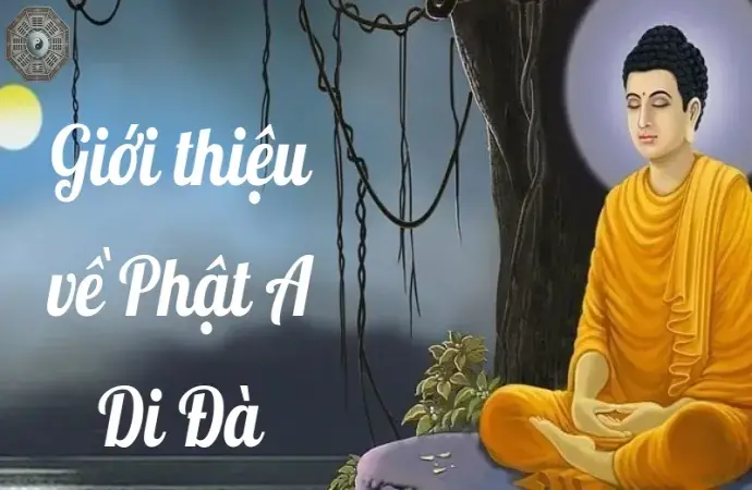 Phật A Di Đà có ý nghĩa gì trong đời sống tâm linh?