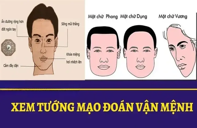 Tướng số vận mệnh - Cách đọc tướng để dự đoán tương lai