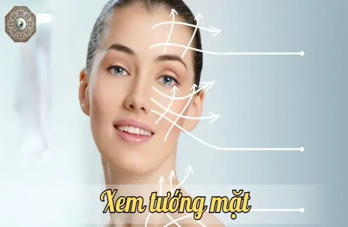 Xem tướng mặt - Đường công danh, tình duyên qua từng nét mặt