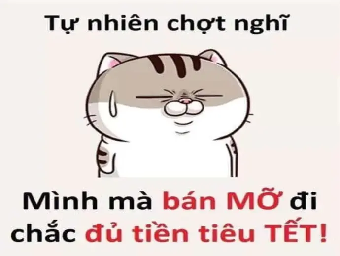 Bộ meme Tết vui nhộn - Tăng không khí Tết rộn ràng