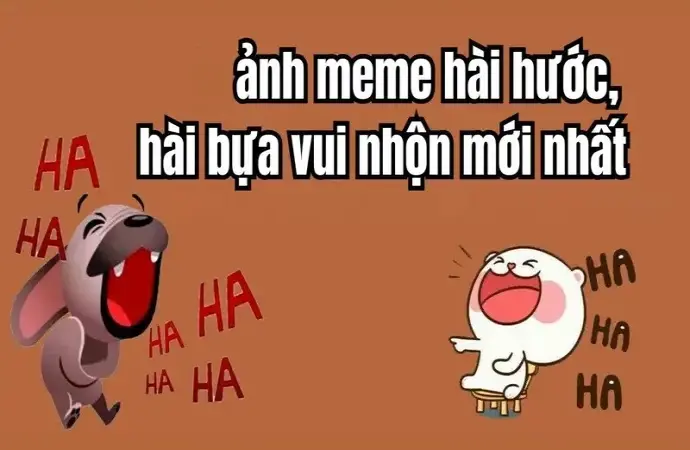 Khám phá meme hài hước khiến cộng đồng mạng cười sảng khoái