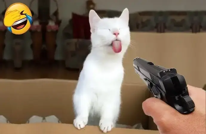 Khám phá bộ sưu tập meme lêu lêu cực hài hước mới nhất