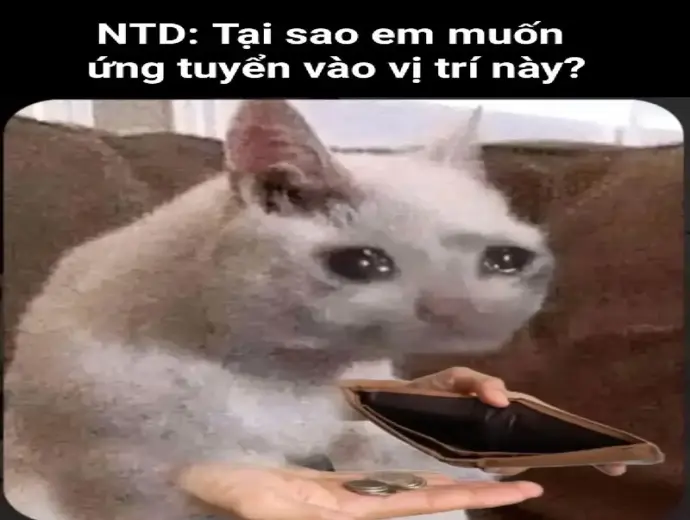 Những meme xin tiền vui nhộn đang gây sốt cộng đồng mạng