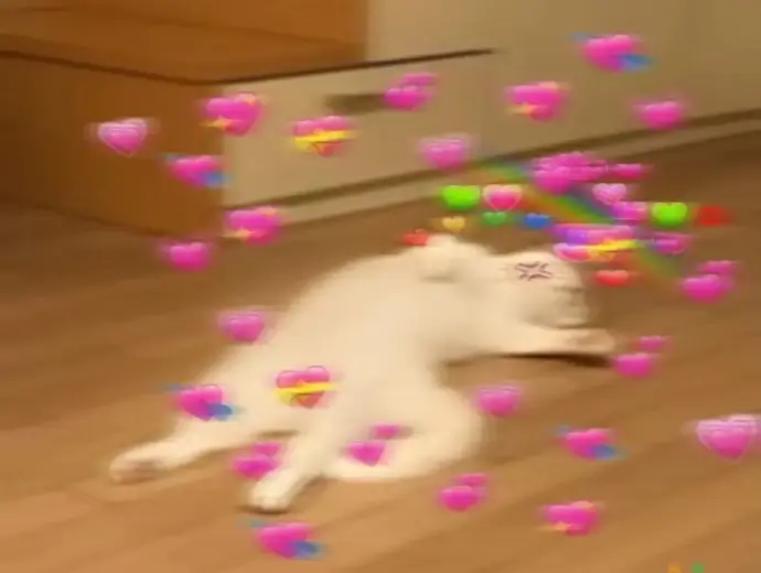 Cười té ghế với loạt meme xỉu cực kỳ vui nhộn hôm nay