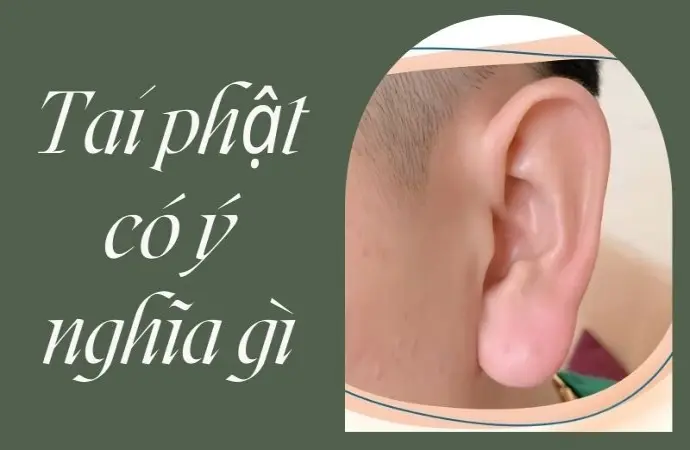 Tai phật có ý nghĩa gì giải mã chi tiết theo tướng học