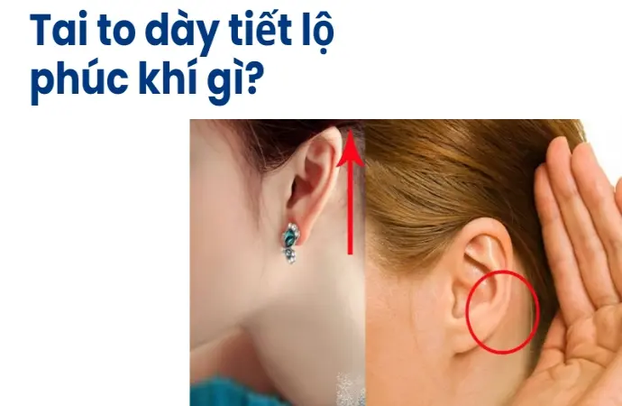 Ý nghĩa tướng tai to dày và sự thật về phúc khí con người