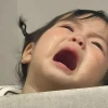 307+ Meme Khóc Hài Hước Viral Khiến Dân Mạng Cười Ra Nước Mắt