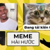 Avatar Ảnh Đại Diện Meme Vô Tri Hài Hước Nhất 2026