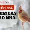 Chim Đậu Vào Người La Điềm Gì: Giải Mã Ý Nghĩa Tâm Linh