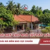 Con Dơi Bay Vào Nhà Là Điềm Gì? Giải Mã Ý Nghĩa Theo Quan Niệm Dân Gian