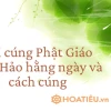 Hướng dẫn bài cúng hằng ngày Phật Giáo Hòa Hảo đầy đủ và chi tiết
