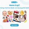Khám Phá Thế Giới Meme: Những Biểu Tượng Hài Hước và Ý Nghĩa Sâu Sắc Nhất