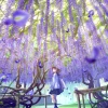 Khám phá vẻ đẹp ảo diệu của hoa tử đằng anime