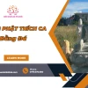 Khám phá ý nghĩa và cách bày trí tượng Phật Tổ Như Lai chuẩn phong thủy 2026