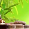 Lời Phật Dạy Về Cuộc Sống Hạnh Phúc: An Nhiên Tự Tại Mỗi Ngày