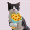 Meme Mèo Tặng Hoa: Cơn Sốt Cute Khiến Crush Tan Chảy