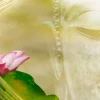 Nhân quả báo ứng khẩu nghiệp: Giải mã nghiệp chướng từ lời nói