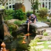 Nuôi cá phong thủy cho người mệnh Thủy: Bí quyết hút tài lộc và may mắn