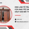 Ong vào nhà làm tổ là điềm gì? Giải mã ý nghĩa từ góc độ phong thủy và khoa học
