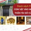 Rắn bò vào nhà là điềm gì? Giải mã ý nghĩa tâm linh và phong thủy