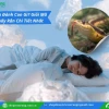 Rắn Vào Nhà Là Điềm Gì Giải Mã Chi Tiết Ý Nghĩa Theo Chuyên Gia