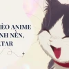 Top Hình Ảnh Avatar Mèo Cute Anime Đáng Yêu Nhất 2026