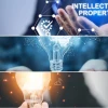 Tư vấn sở hữu trí tuệ cho startup và giải pháp bảo hộ bền vững 2026