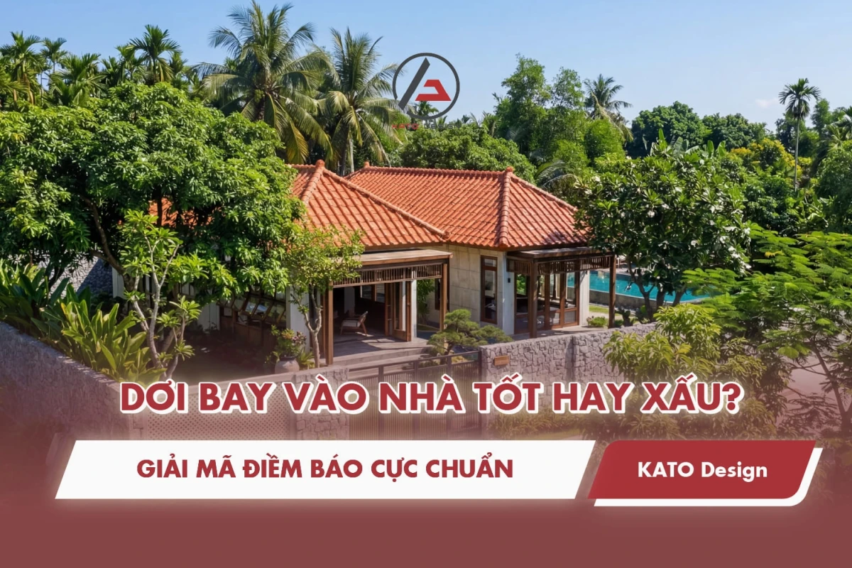 Con Dơi Bay Vào Nhà Là Điềm Gì? Giải Mã Ý Nghĩa Theo Quan Niệm Dân Gian