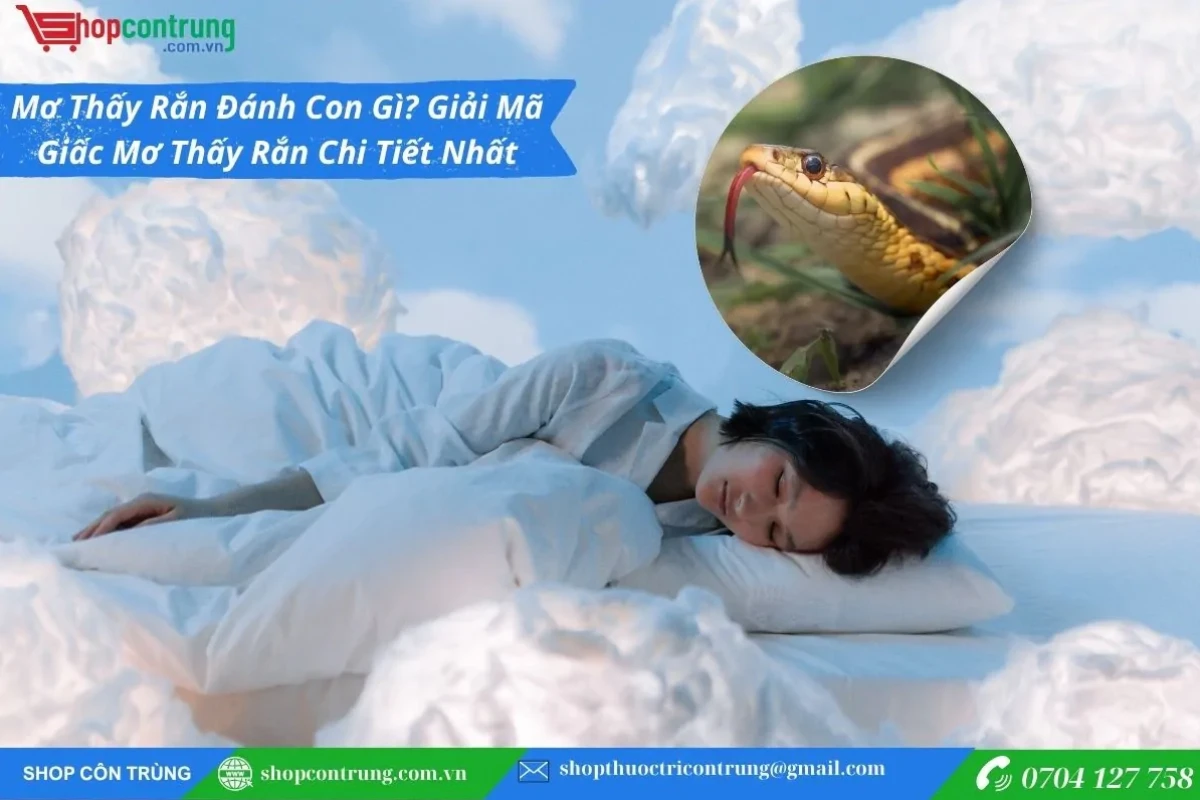 Rắn Vào Nhà Là Điềm Gì Giải Mã Chi Tiết Ý Nghĩa Theo Chuyên Gia