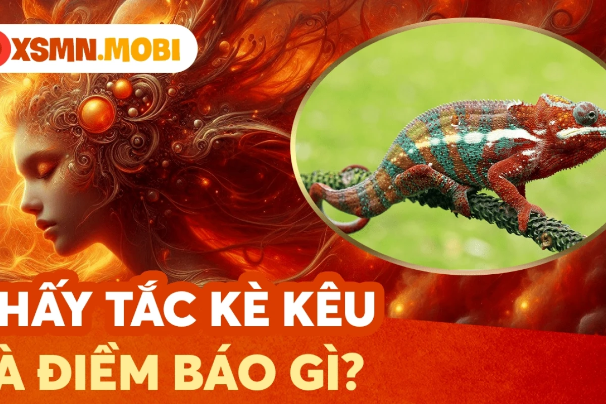 Tắc kè kêu 12 tiếng là điềm gì? Giải mã ý nghĩa chi tiết