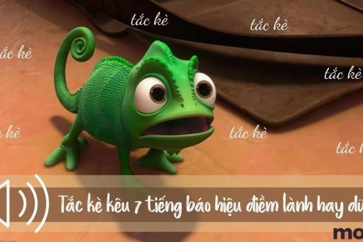 Tắc kè kêu 7 tiếng: Điềm báo gì và nên hiểu đúng ra sao?