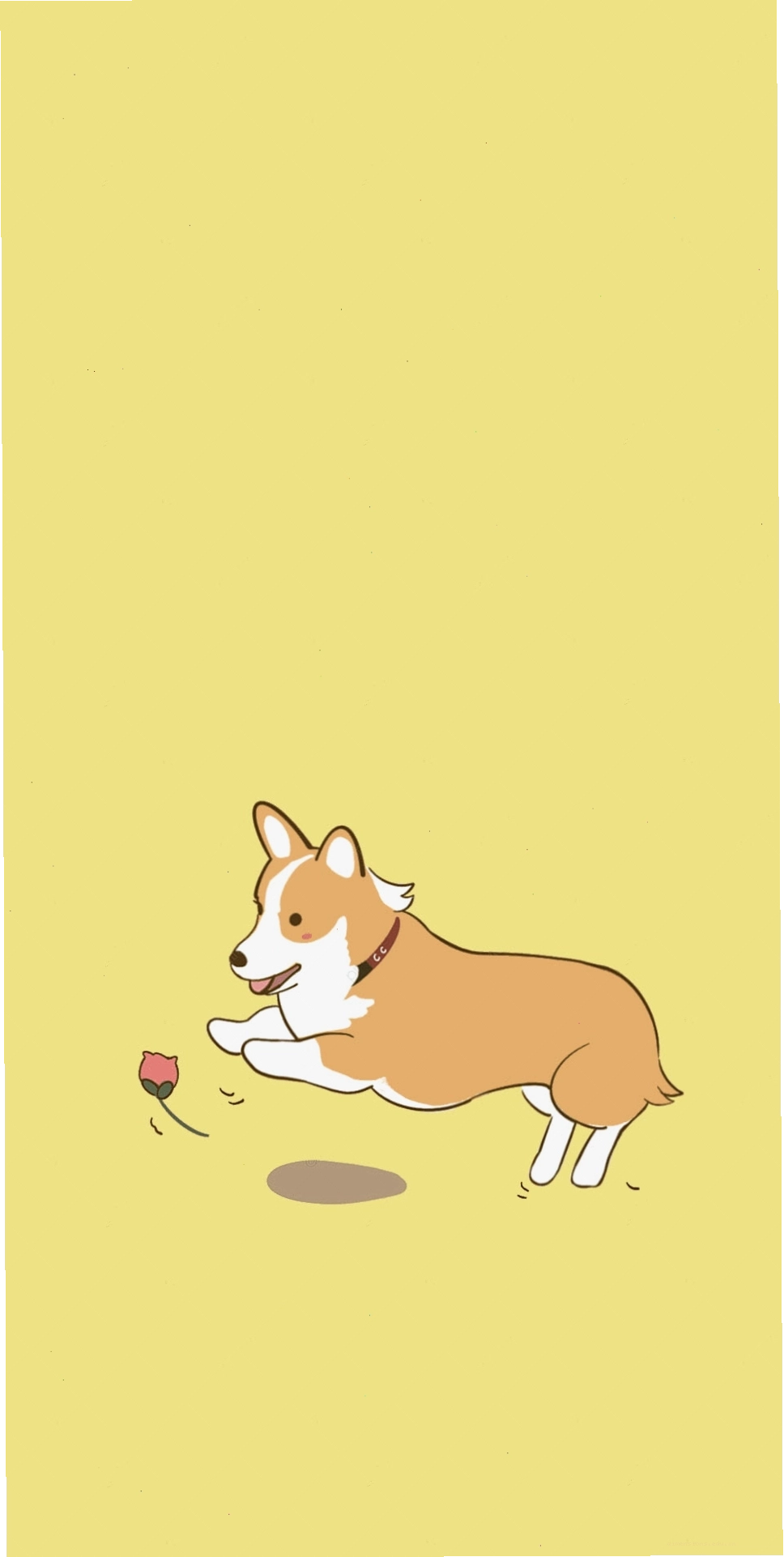 Ảnh avatar chó Shiba cute phong cách chibi
