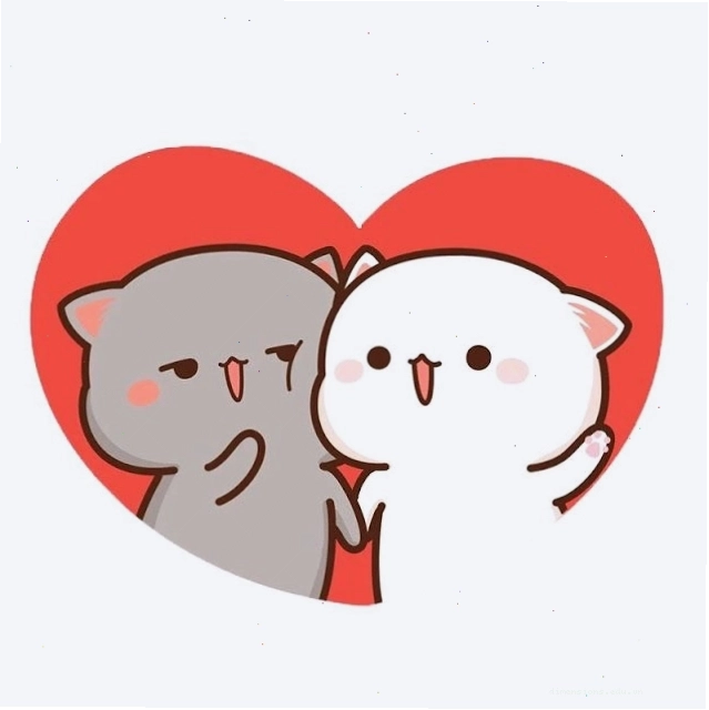 Ảnh avatar đôi mèo dễ thương ngoài đời thực